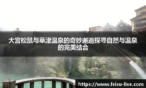 飞速高清直播