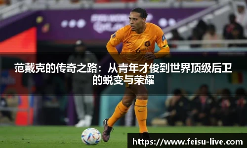 飞速高清直播