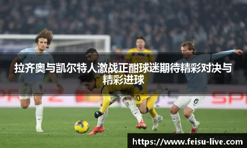 飞速体育