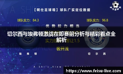 飞速体育
