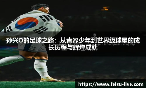 飞速体育