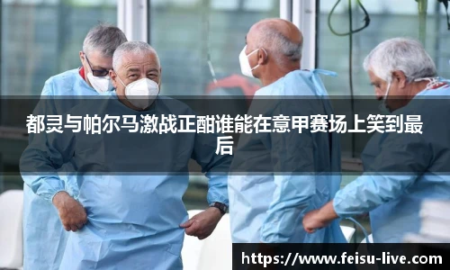 飞速体育直播