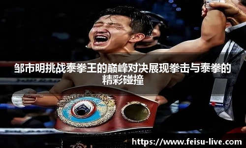 邹市明挑战泰拳王的巅峰对决展现拳击与泰拳的精彩碰撞