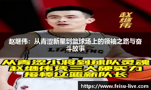 飞速体育