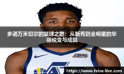 飞速高清直播